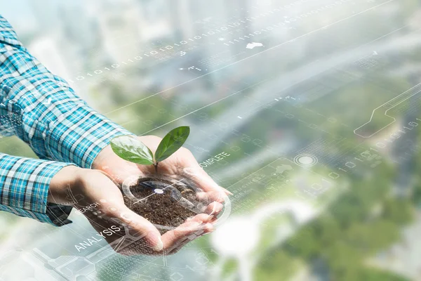 Naturaleza e interacción tecnológica — Foto de Stock