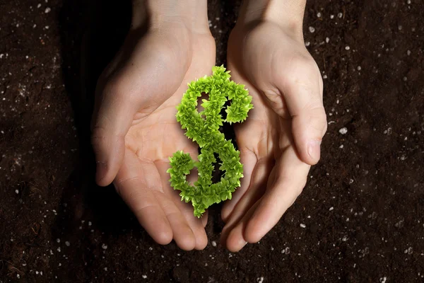 Eco sinal de dinheiro verde — Fotografia de Stock