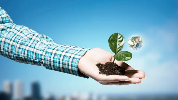 Met zorg voor natuur — Stockfoto