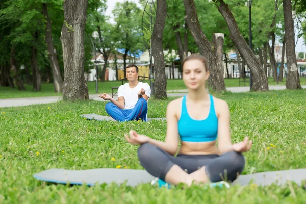 Tener práctica de yoga en el parque —  Fotos de Stock