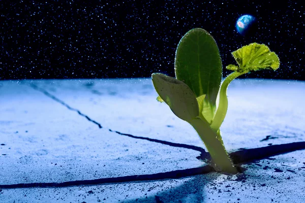 Leben auf anderen Planeten — Stockfoto