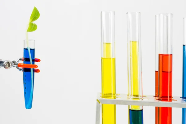 Ricerca sui test di chimica — Foto Stock