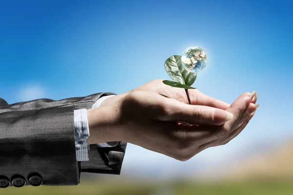 Met zorg voor natuur — Stockfoto