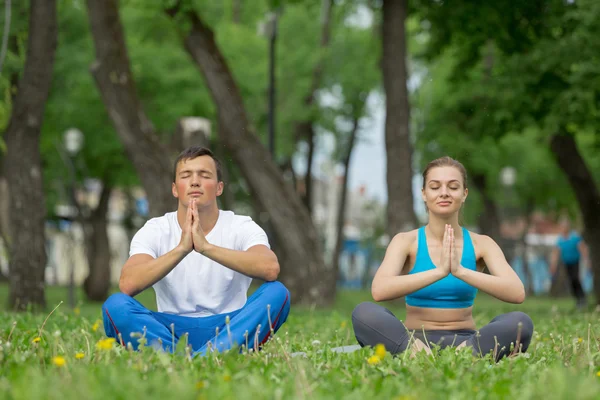 Having yoga practice in park — Stock Photo, Image