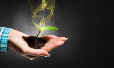 Doğa ve teknoloji etkileşim