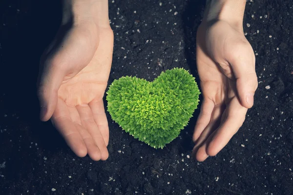 Met liefde en zorg voor onze natuur — Stockfoto