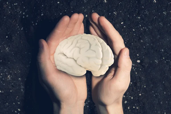 Menschliches Gehirn in Handflächen — Stockfoto