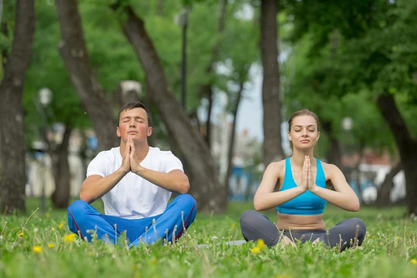 Having yoga practice in park — Stock Photo, Image