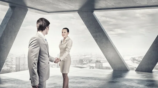 Obchodní partneři handshake — Stock fotografie