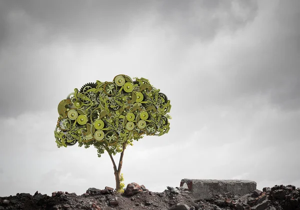 Getriebe grüner Baum — Stockfoto