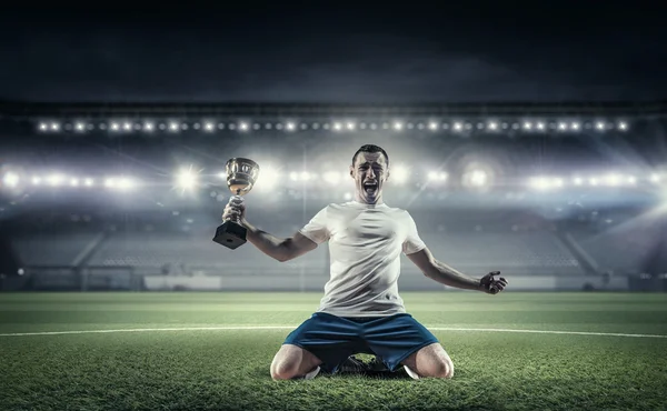 Ele é o campeão. — Fotografia de Stock