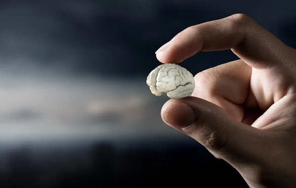 Pequeño cerebro entre los dedos — Foto de Stock