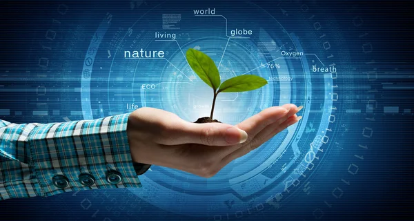 Natura e tecnologia interazione — Foto Stock