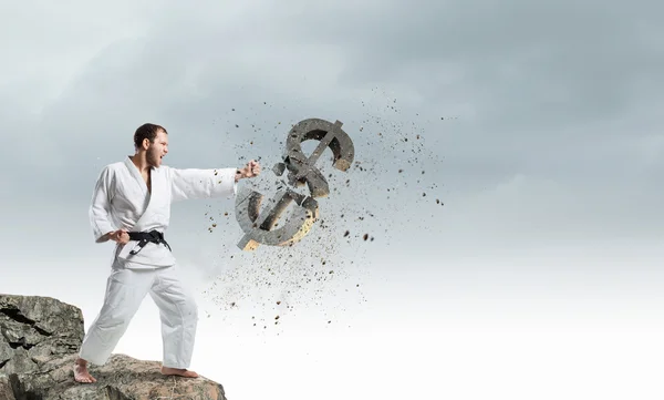 Karate man attack dollar — Stockfoto