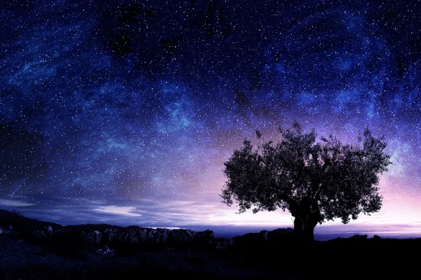 Noche pintoresca vista — Foto de Stock