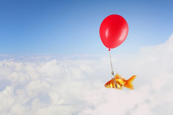 Goldfish voa em balão. Meios mistos — Fotografia de Stock