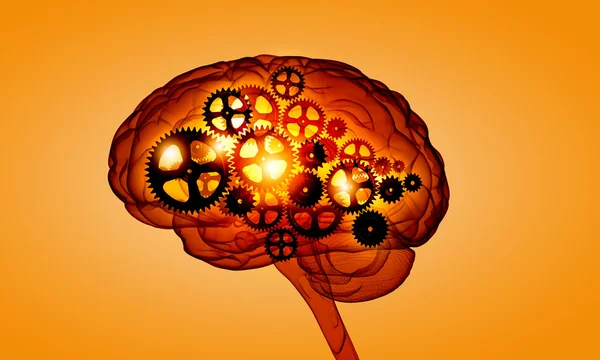 Meccanismo nel cervello umano. Mezzi misti — Foto Stock