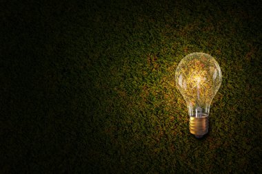 Taş yüzeyi parlak ampul. Karışık teknik