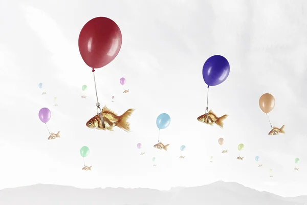 Zlaté rybky letět v balónu. Kombinovaná technika — Stock fotografie