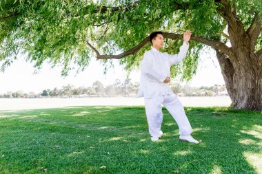 Yakışıklı adam Thai Chi yapıyor.