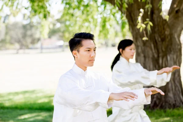 İnsanlar Park Thai chi