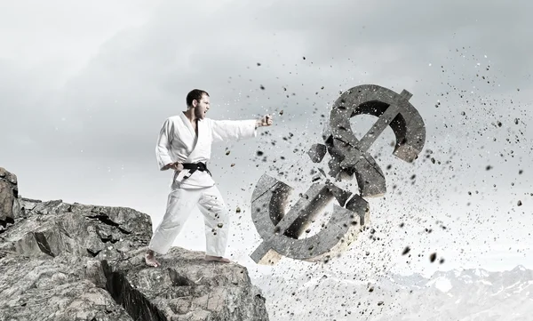 Karate muž útok dolar — Stock fotografie