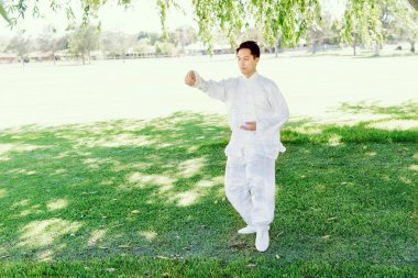 Yakışıklı adam Thai Chi yapıyor.