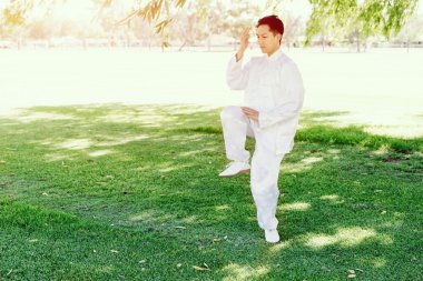 Yakışıklı adam Thai Chi yapıyor.