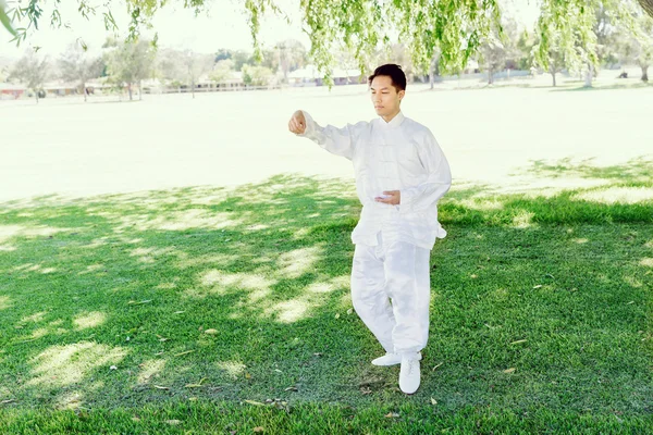 Yakışıklı adam Thai Chi yapıyor.