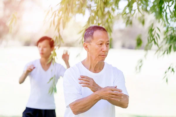 Lidé cvičí Tai-chi v parku — Stock fotografie