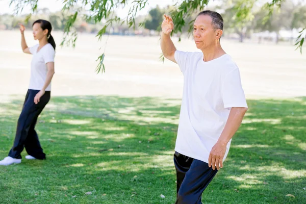 People practicing thai chi in park — Stock Photo, Image