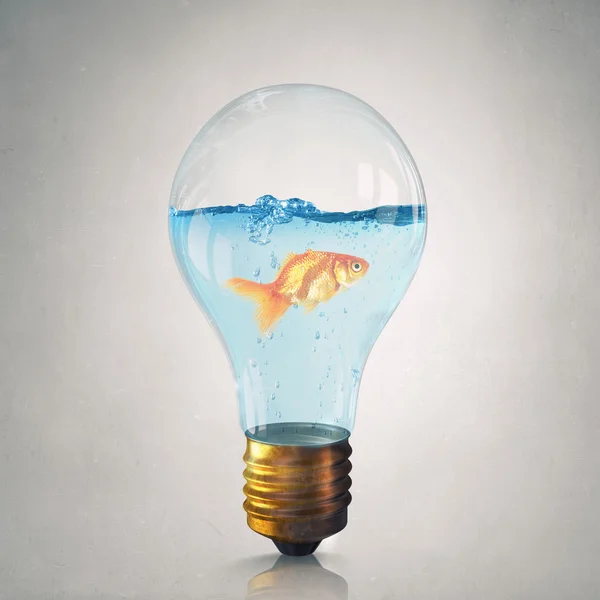 Gouden vis in lamp. Mixed media — Stockfoto
