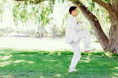 Yakışıklı adam Thai Chi yapıyor.