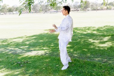 Yakışıklı adam Thai Chi yapıyor.