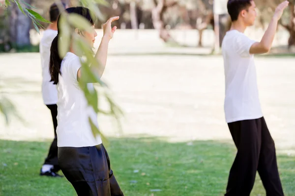 公園でタイの chi を練習する人々 — ストック写真