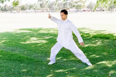 Yakışıklı adam Thai Chi yapıyor.