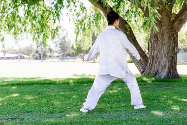 Yakışıklı adam Thai Chi yapıyor.
