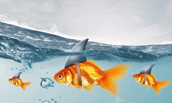 Goldfisch mit Hai-Salto. Gemischte Medien — Stockfoto