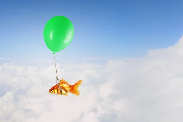 Золотая рыбка летит на воздушном шаре. Смешанные медиа — стоковое фото