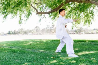 Yakışıklı adam Thai Chi yapıyor.