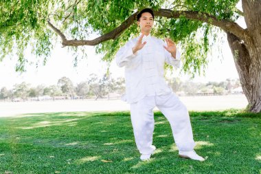 Yakışıklı adam Thai Chi yapıyor.