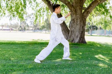 Yakışıklı adam Thai Chi yapıyor.