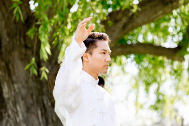 Yakışıklı adam Thai Chi yapıyor.