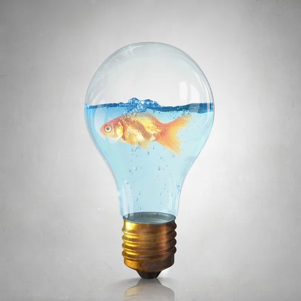 Gold fish in bulb . Mixed media — Stock Photo, Image
