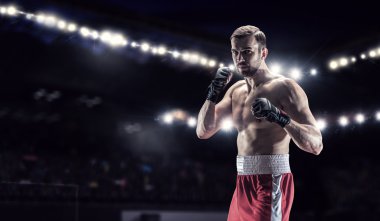 Profesyonel kutusu şampiyonu. Karışık teknik