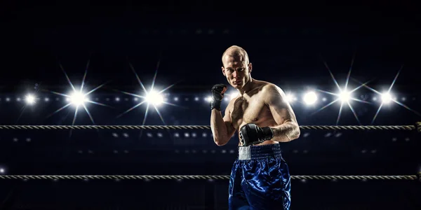 Campeón profesional de box. Medios mixtos —  Fotos de Stock
