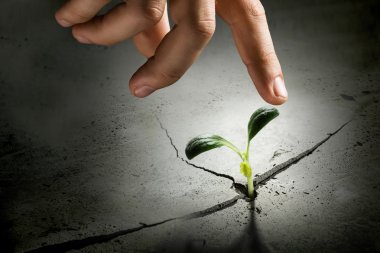 Ay'da yaşam var mı