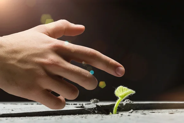 ¿Hay vida en la luna? —  Fotos de Stock