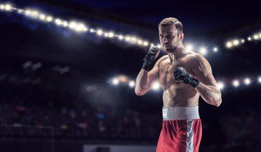 Profesyonel kutusu şampiyonu. Karışık teknik