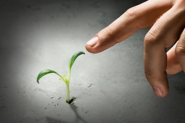 Ay'da yaşam var mı